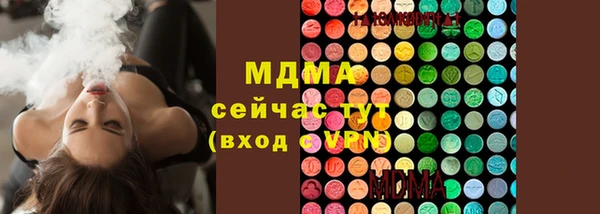 шишки Арсеньев