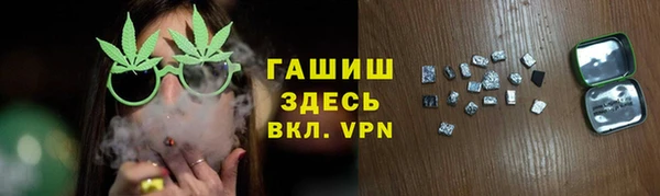 шишки Арсеньев