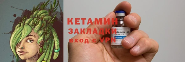 шишки Арсеньев