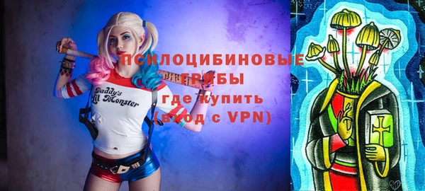 шишки Арсеньев