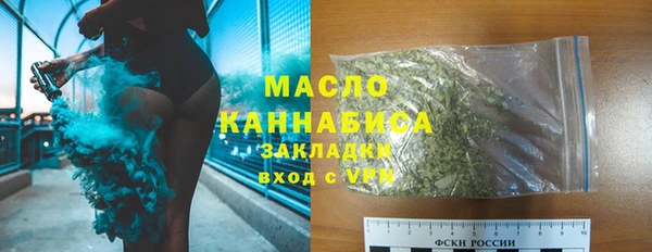 шишки Арсеньев