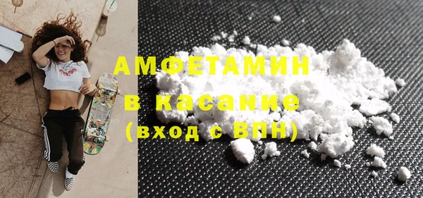 шишки Арсеньев