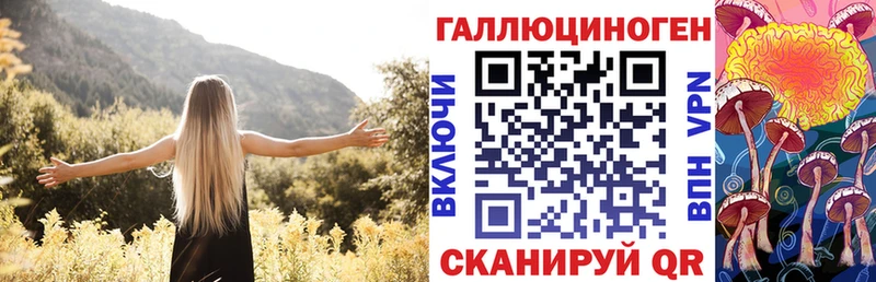 как найти наркотики  Ростов  Галлюциногенные грибы Magic Shrooms 